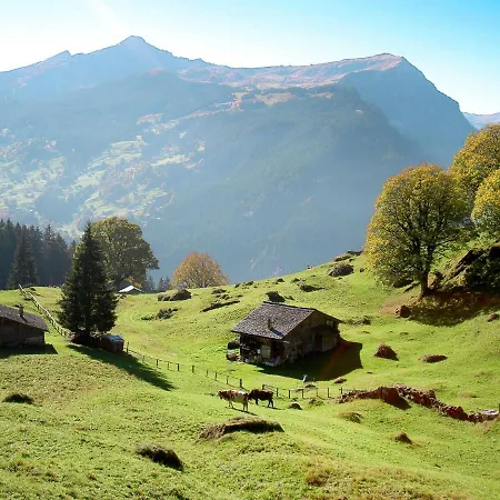 Schwendihus-11 By Interhome