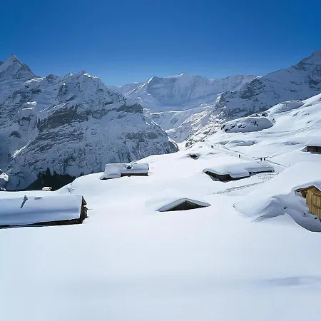 Schwendihus-11 By Interhome Appartamento Grindelwald