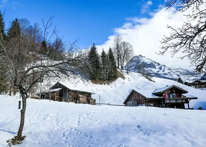 Schwendihus-11 By Interhome * Grindelwald
